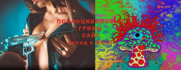 ALPHA PVP Медвежьегорск