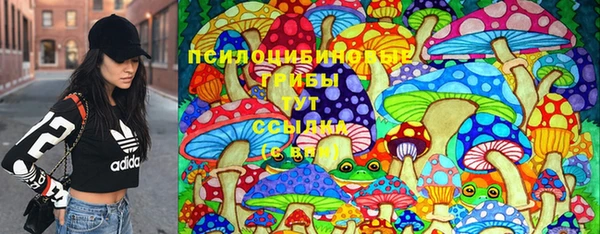 ALPHA PVP Медвежьегорск